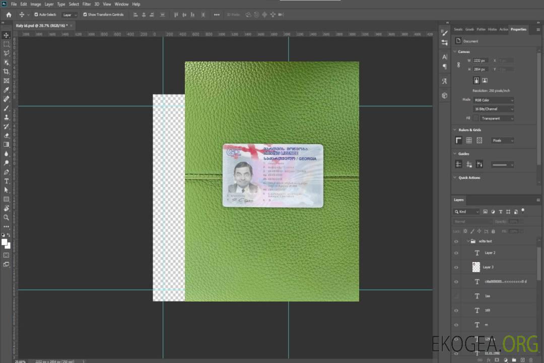 Georgia DL photolook AVANT template Georgia DL photolook AVANT template